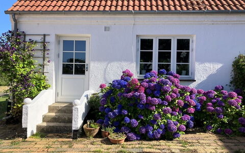 Hening - 150M from the Sea: Gebäude, Haus, Fenster, Zuhause, Dach, Wohngebiet, Strauch, Hütte, Grundstueck