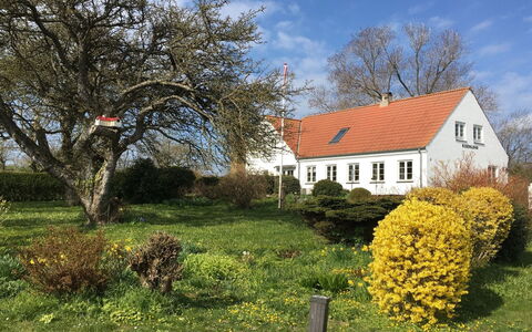 Hening - 150M from the Sea: Gebäude, Haus, Fenster, Zuhause, Dach, Wohngebiet, Strauch, Hütte, Grundstueck