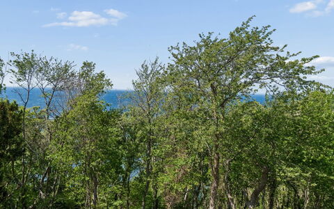 Arnt - 100M from the Sea: Blatt, Baum, Natürlichen Umgebung, Natur, Ast, Vegetation, Ökoregion, Strauch, Pflanzengemeinschaft, Naturschutzgebiet