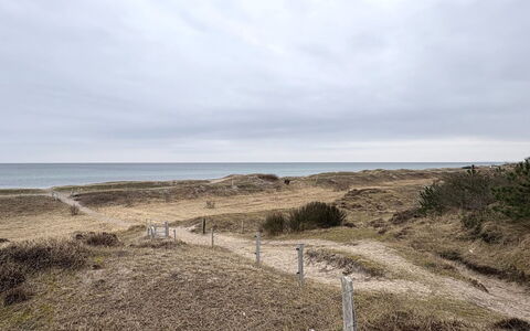 Elisej - 350M from the Sea: Wohngebiet, Strauch, Haus, Zuhause, Garten, Estate, Schatten, Landscaping, Rasen