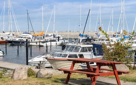 Elisej - 350M from the Sea: Wohngebiet, Strauch, Haus, Zuhause, Garten, Estate, Schatten, Landscaping, Rasen