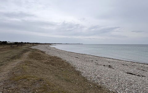 Elisej - 350M from the Sea: Wohngebiet, Strauch, Haus, Zuhause, Garten, Estate, Schatten, Landscaping, Rasen