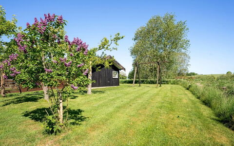 Svenne - 600M from the Sea: Grün, Strauch, Garten, Grundstueck, Ground, Frühling, Hütte, Rasen, Wiese, Garten