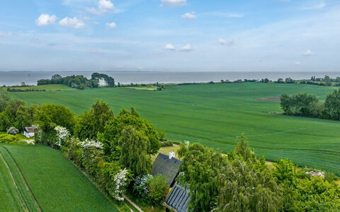 Verene - 725M from the Sea: Grün, Gras, Natürliche Landschaft, Wiese, Landschaft, Einfach, Grundstueck, Feld, Ländliches Gebiet, Plantage