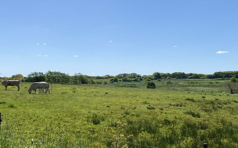Grimi - 36Km from the Sea: Blau, Strauch, Hütte, Ground, Garten, Estate, Schatten, Landscaping, Bauernhaus, Eco Hotel