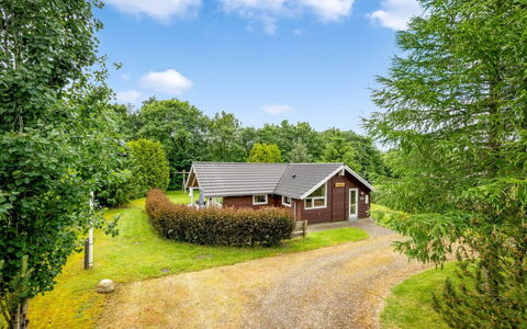 Ljuba - 40Km from the Sea: Wohngebiet, Strauch, Haus, Zuhause, Garten, Estate, Schatten, Landscaping, Rasen
