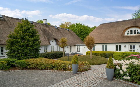 Jolanda: Grün, Hügel, Hochland, Landwirtschaft, Plantage, Bergstation, Feld, Ländliches Gebiet, Wiese, Weide