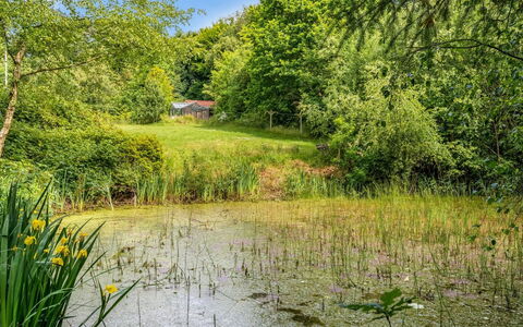 Tabetha - 24Km from the Sea: Grün, Wasser, Natürlichen Umgebung, Natur, Gras, Natürliche Landschaft, Vegetation, Sumpf, Strauch