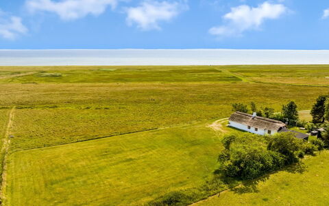 Vilvi - 250M to the Fjord: Grün, Hügel, Hochland, Landwirtschaft, Plantage, Bergstation, Feld, Ländliches Gebiet, Wiese, Weide