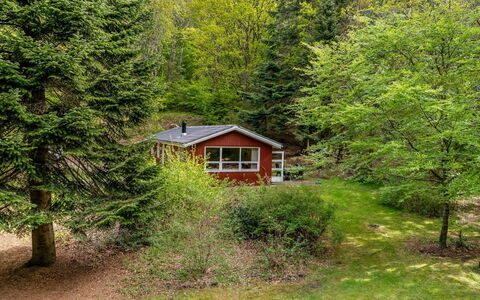 Lilija - 7.9Km to the Fjord: Baum, Gras, Blatt, Natur, Vegetation, Strauch, Hütte, Haus, Zuhause, Ländliches Gebiet