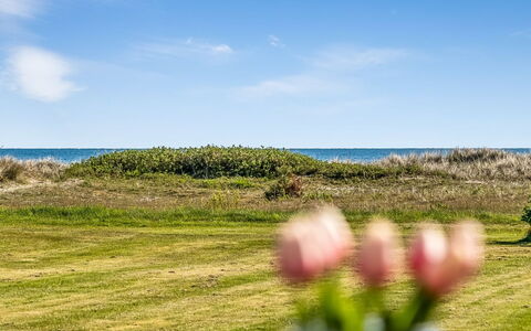 Nomi - 100M from the Sea: Himmel, Blau, Gras, Horizont, Ökoregion, Wiese, Sommer, Meer, Einfach, Küste