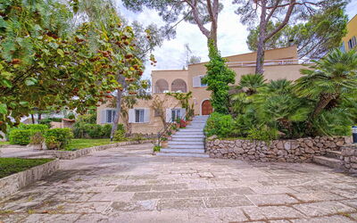 Entrepins Santa Ponça