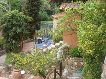 Massarosa 890