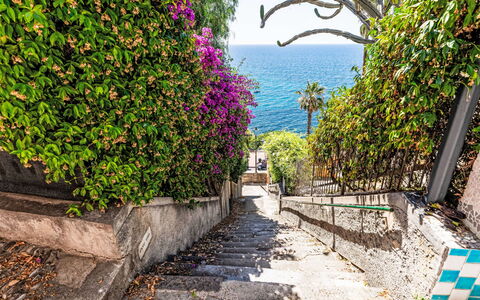 Villa Cristina: Blau, Grün, Vegetation, Strauch, Frühling, Meer, Ozean, Walkway, Tropen