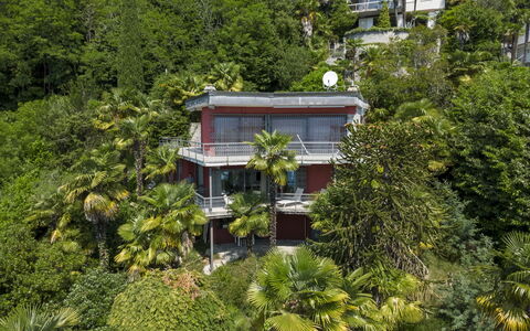 Max: Baum, Vegetation, Strauch, Balkon, Estate, Hazienda, Dschungel, Eco Hotel, Villa