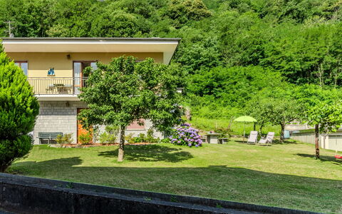 Family Home: Strauch, Garten, Rasen, Landscaping, Garten, Hazienda, Bauernhaus, Eco Hotel, Hinterhof, Villa