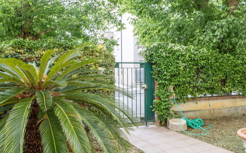 Corte Marina Apartment: Grün, Blatt, Vegetation, Strauch, Gehölz, Garten, Schatten, Landscaping, Immergrün