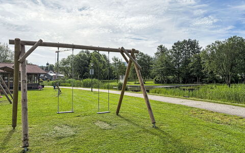 Petra: Gras, Öffentlicher Raum, Spielmittel, Einfach, Park, Erholung, Schwingen, Schatten, Rasen, Garten