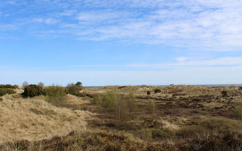Mavis - 1.6Km from the Sea: Himmel, Blau, Gras, Natürlichen Umgebung, Vegetation, Ökoregion, Wiese, Horizont, Shrubland, Pflanzengemeinschaft
