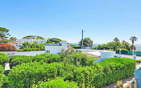 Miramar: Möbel, Strauch, Garten, Gartenmöbel, Schatten, Tisch Im Freien, Stuhl, Terrasse, Hinterhof, Garten