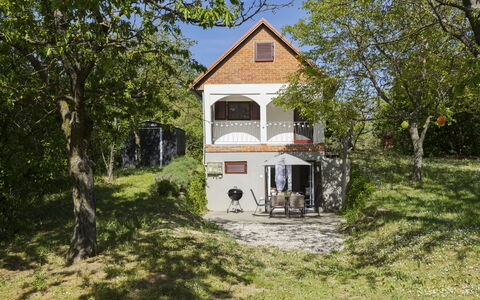 Öreghegy Kis Ház: Möbel, Strauch, Garten, Gartenmöbel, Schatten, Tisch Im Freien, Stuhl, Terrasse, Hinterhof, Garten
