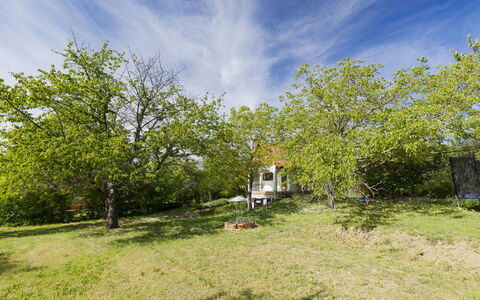 Öreghegy Kis Ház: Möbel, Strauch, Garten, Gartenmöbel, Schatten, Tisch Im Freien, Stuhl, Terrasse, Hinterhof, Garten