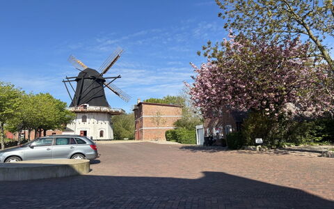 Tessa - 19Km from the Sea: Gebäude, Daytime, Wolkenkratzer, Wohnung, Stadtgebiet, Stadt, Wohngebiet, Eigentumswohnung, Metropolitan Area