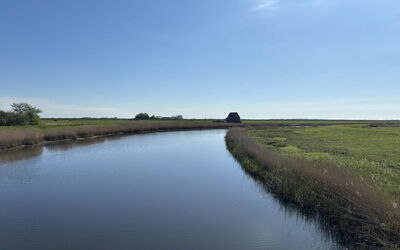 Tessa - 19Km from the Sea