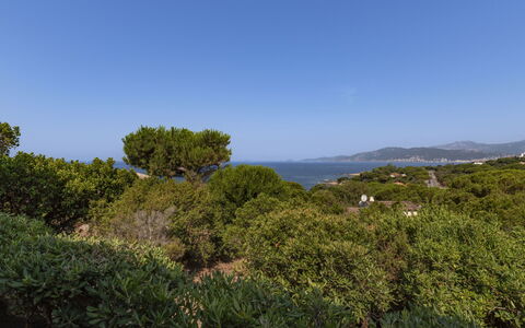U Sognu: Himmel, Blau, Blatt, Grün, Vegetation, Horizont, Strauch, Pflanzengemeinschaft, Ökoregion, Shrubland