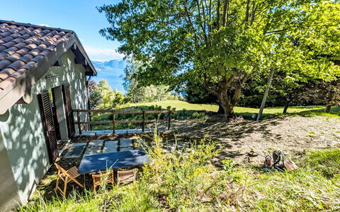 The Greenhouse: Ast, Landschaft, Ländliches Gebiet, Hütte, Garten, Wiese, Bauernhaus, Rasen, Schatten