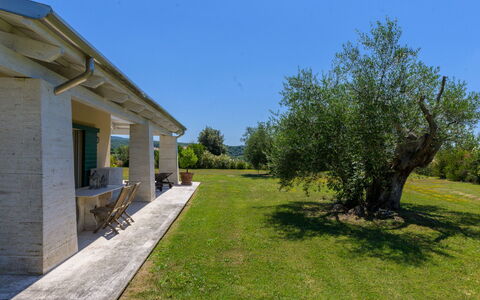 La Sorgente: Strauch, Zuhause, Grundstueck, Garten, Ground, Landscaping, Schatten, Estate, Hütte