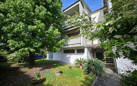 Alle Gardenie: Strauch, Wohngebiet, Zuhause, Garten, Estate, Garten, Schatten, Landscaping, Auffahrt, Hinterhof