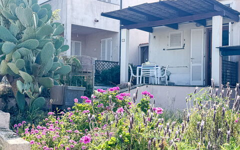 Ostrica: Strauch, Garten, Garten, Landscaping, Schatten, Hinterhof, Balkon, Walkway, Hof