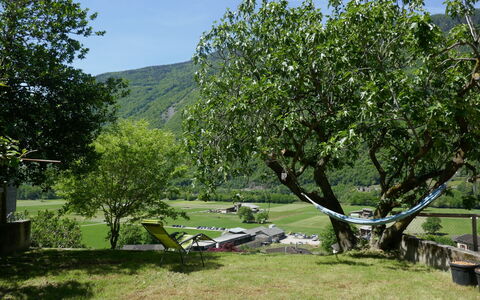 Casa Malva: Ast, Garten, Gehölz, Rasen, Freizeit, Schatten, Garten, Park, Hinterhof