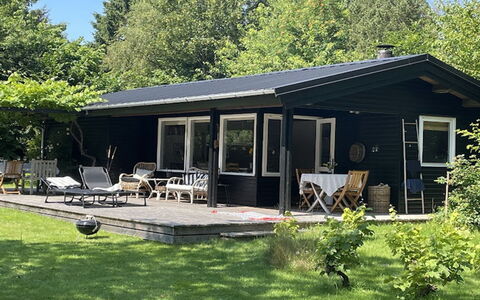 Naema - 1Km from the Sea: Estate, Schatten, Auffahrt, Bauernhaus