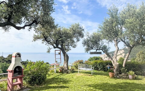 Finale Ligure 30: Gras, Haus, Ländliches Gebiet, Hütte, Dach, Zuhause, Landschaft, Einfach, Grundstueck