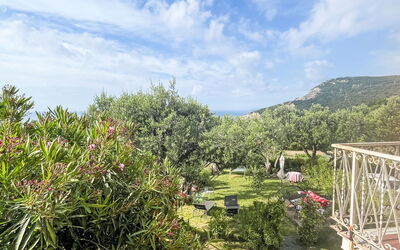 Finale Ligure 30: Strauch, Landschaft, Garten, Landscaping, Botanischer Garten, Plantage, Walkway, Pfad