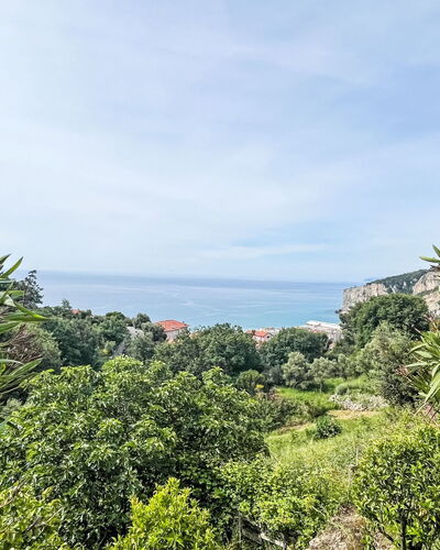 Pierina 30.1