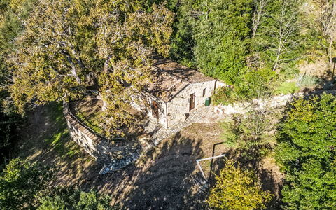 Montacuto: Gras, Haus, Ländliches Gebiet, Hütte, Dach, Zuhause, Landschaft, Einfach, Grundstueck