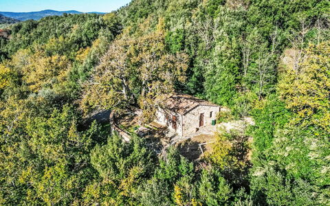 Montacuto: Gras, Haus, Ländliches Gebiet, Hütte, Dach, Zuhause, Landschaft, Einfach, Grundstueck