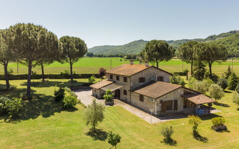 Tuscia Prestige: Gras, Haus, Ländliches Gebiet, Hütte, Dach, Zuhause, Landschaft, Einfach, Grundstueck