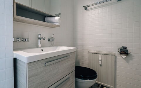 Laax 757: Badezimmer, Armatur, Flooring, Wand, Bad Sink, Sinken, Fussboden, Interior Design, Zapfhahn, Installation