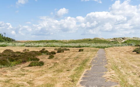 Enwald - 100M from the Sea: Himmel, Gras, Natürlichen Umgebung, Grün, Wiese, Wolke, Vegetation, Ökoregion, Natürliche Landschaft, Einfach