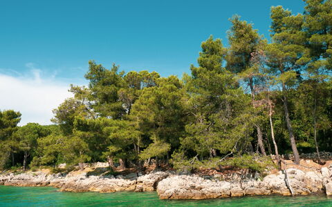 Krk Malinska 204: Schwimmbad, Ferienort, Eco Hotel, Resort, Villa