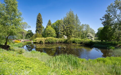 Coach House on Aigas Golf Course: Wasser, Grün, Wasservorräte, Gewässer, Baum, Natur, Natürlichen Umgebung, Natürliche Landschaft, Wasserlauf, Vegetation