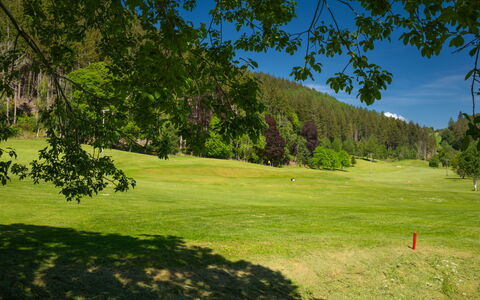 Coach House on Aigas Golf Course: Gras, Baum, Natürlichen Umgebung, Wiese, Einfach, Grundstueck, Wiese, Weide, Rasen