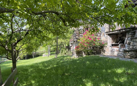 Il Cervo: Strauch, Garten, Ländliches Gebiet, Ground, Frühling, Rasen, Hütte, Garten, Hinterhof