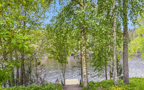 Villa Kaidanjylhä: Grün, Blatt, Natur, Baum, Natürlichen Umgebung, Ast, Vegetation, Natürliche Landschaft, Sommer