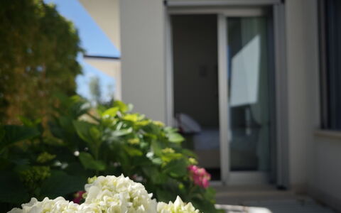 Villa Mulberry Garden - Esclusiva con Piscina Priv: Blume, Blütenblatt, Blühende Pflanze, Garten, Landscaping, Daylighting, Hydrangeaceae, Hortensie, Balkon