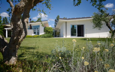 Villa Mulberry Garden - Esclusiva con Piscina Priv: Zuhause, Strauch, Wohngebiet, Grundstueck, Rasen, Estate, Garten, Hütte, Schatten, Landscaping